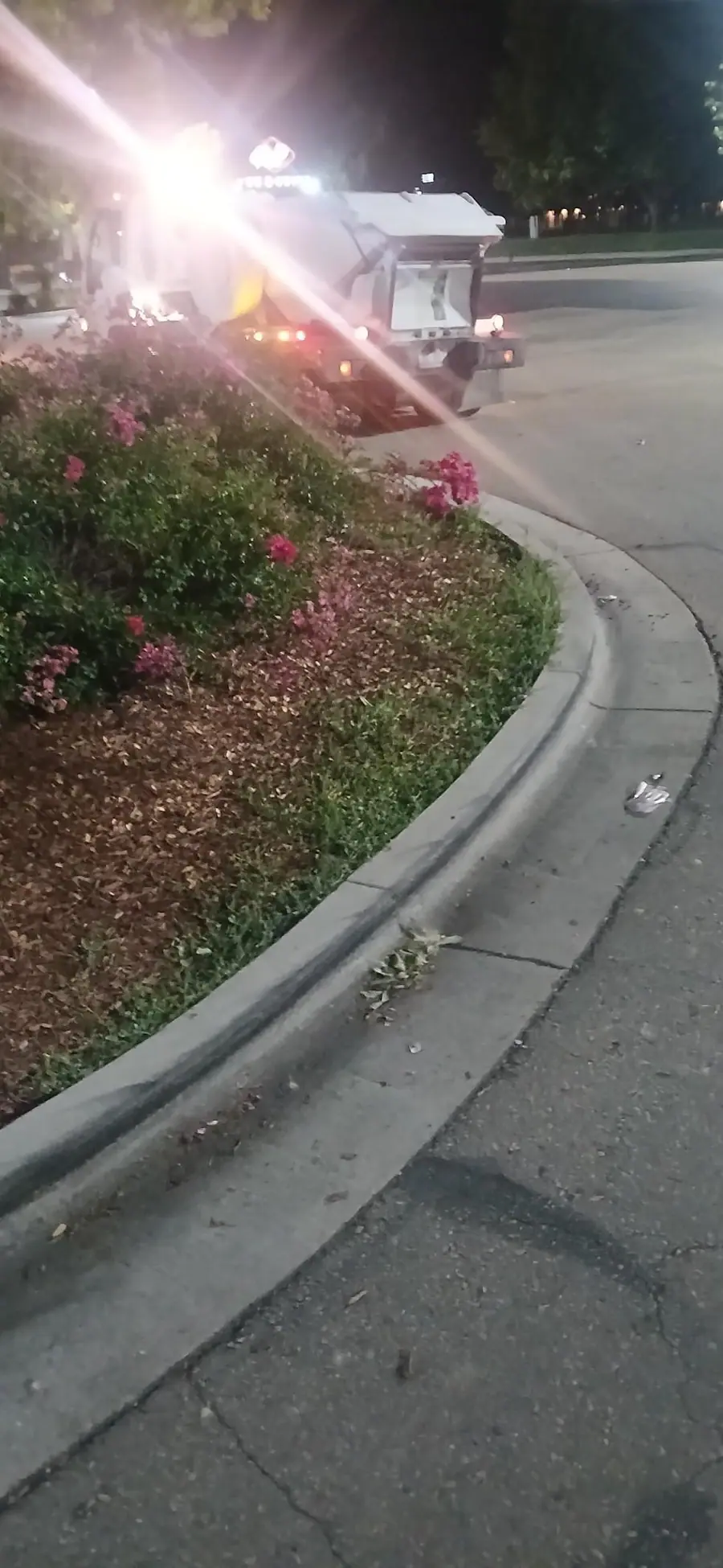 Litter collected along a curb beside a landscaped island