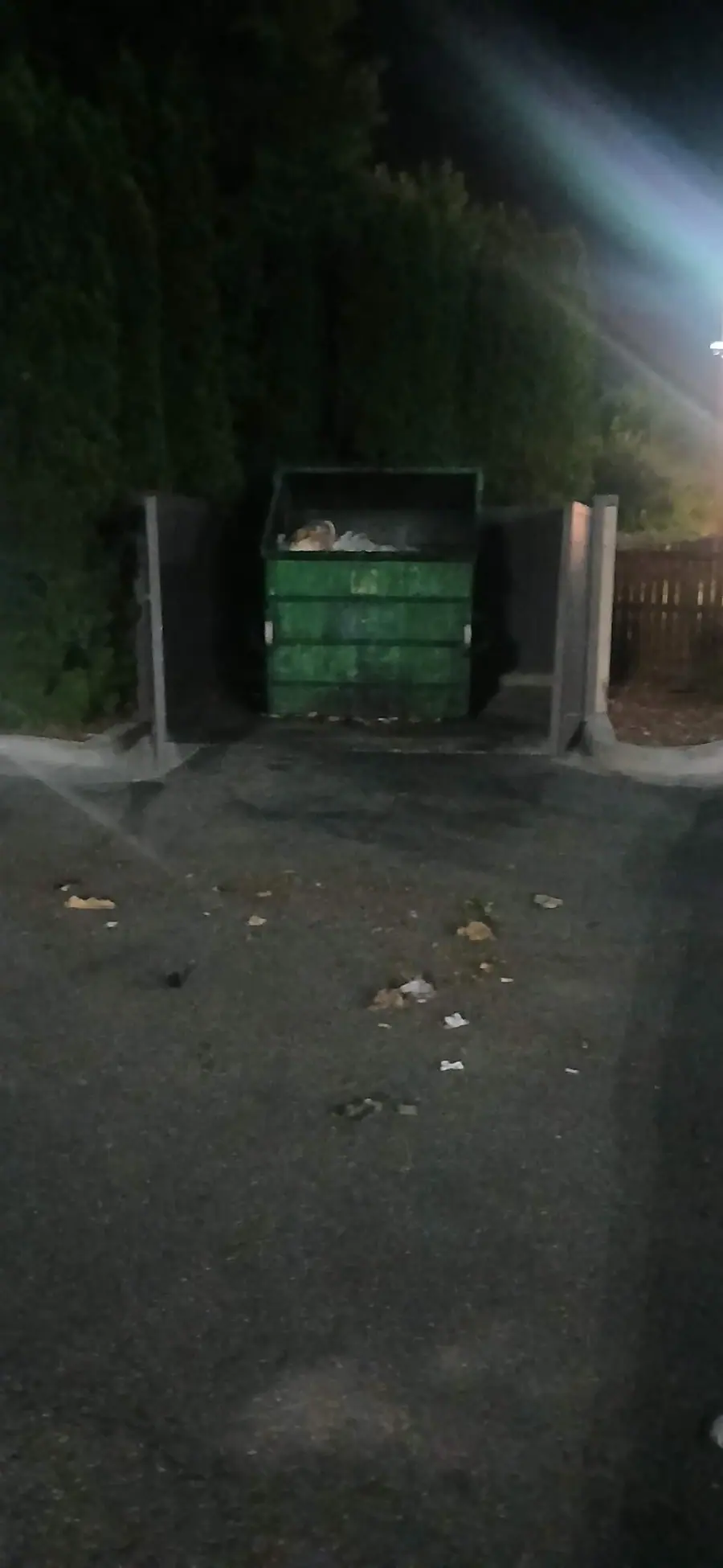 Litter and leaves in front of a dumpster enclosure at night