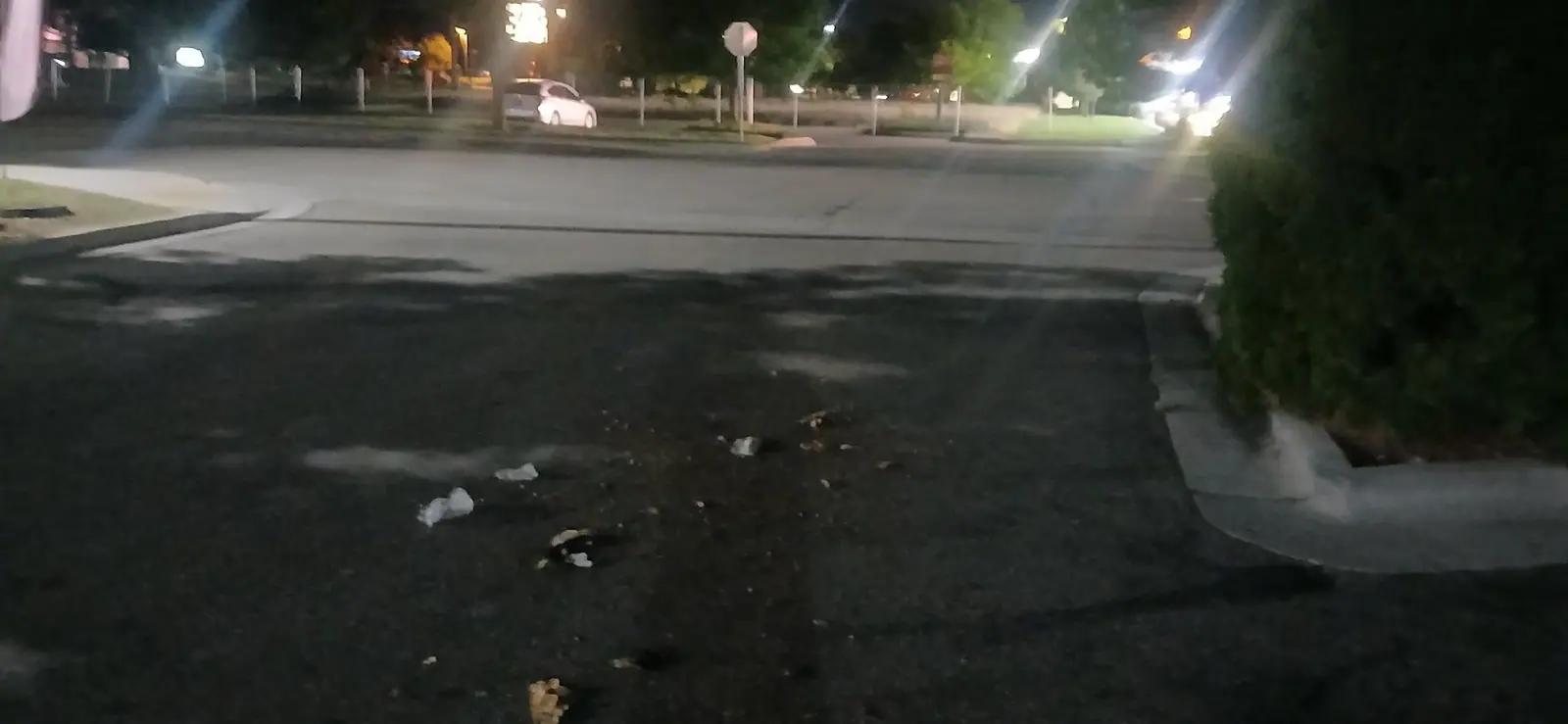 Cups and wrappers on a parking lot beside a hedge at night
